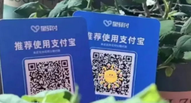 星驿付收款码 —— 商家与代理的双赢之选