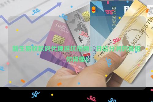 新生易收款码代理避坑指南：日结分润的真相你得懂！