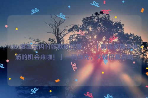 2024银联云闪付收款码代理，​「数钱数到手抽筋的机会来啦！」一码当先，火辣招募启动
