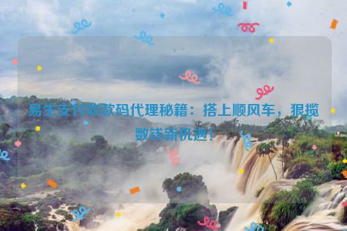 易生支付收款码代理秘籍：搭上顺风车，狠揽数钱新机遇！
