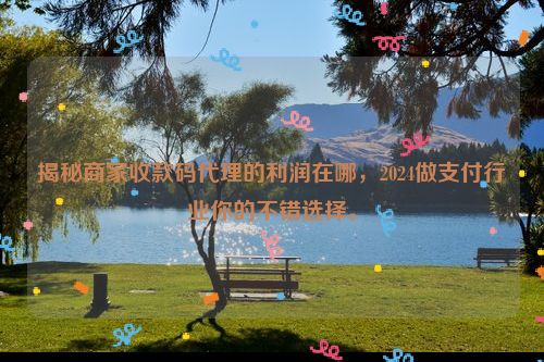 揭秘商家收款码代理的利润在哪，2024做支付行业你的不错选择。