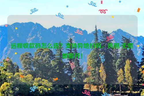 远程收款码怎么选？支持异地扫码，执照/无照都能开！