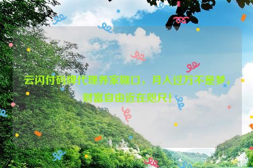 云闪付码牌代理养家糊口，月入过万不是梦，财富自由近在咫尺！