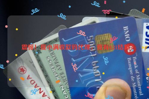 ​震惊！度小满收款码代理，竟有0.21结算？