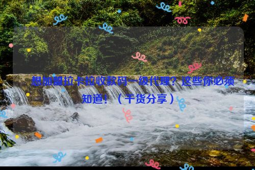 ​想加盟拉卡拉收款码一级代理？这些你必须知道！（干货分享）