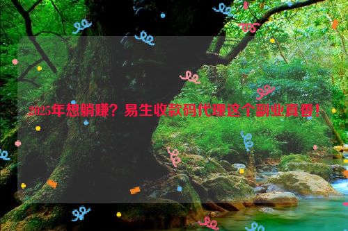 2025年想躺赚？易生收款码代理这个副业真香！ 