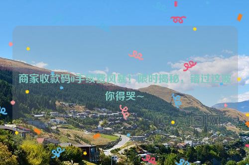 商家收款码0手续费风暴！限时揭秘，错过这波你得哭~