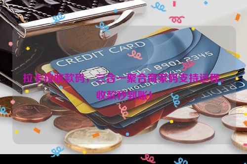 拉卡拉收款码，三合一聚合商家码支持远程，收款秒到账！
