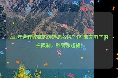 2025年远程收款码代理怎么选？这3家无电子围栏限制，秒到账超稳！