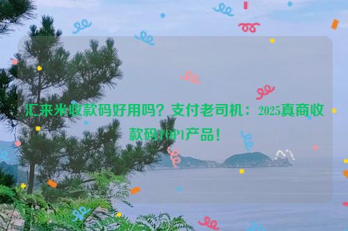 汇来米收款码好用吗？支付老司机：2025真商收款码TOP1产品！