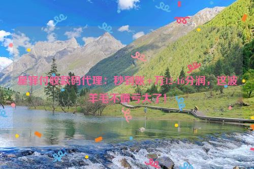 星驿付收款码代理：秒到账+万12-16分润，这波羊毛不薅亏大了！