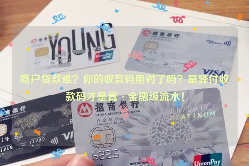 商户贷款难？你的收款码用对了吗？星驿付收款码才是真·金融级流水！