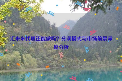 汇来米代理还能做吗？分润模式与市场前景深度分析