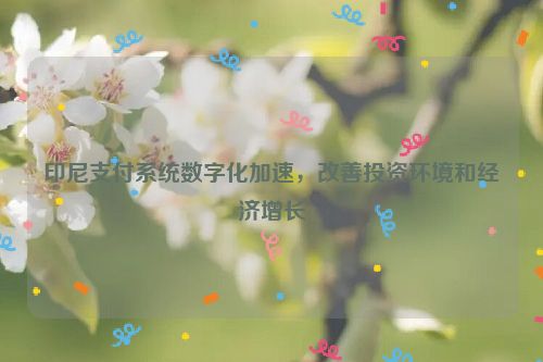 详细阅读:印尼支付系统数字化加速,改善投资环境和经济增长 印尼支付系统数字化加速,改善投资环境和经济增长