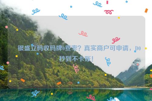 ​银盛立码收码牌0费率？真实商户可申请，D0秒到不卡账！