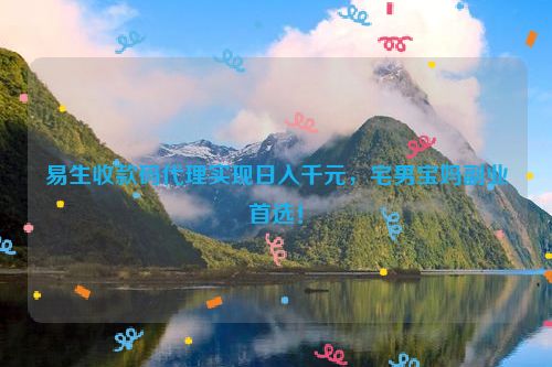 易生收款码代理实现日入千元，宅男宝妈副业首选！
