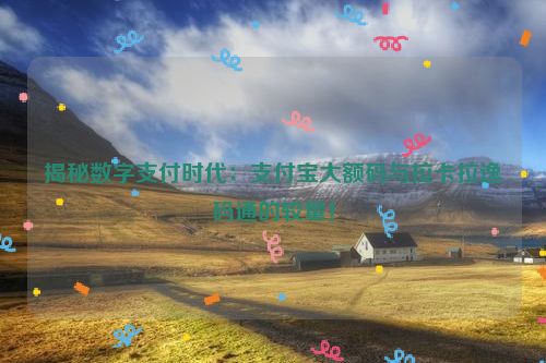 揭秘数字支付时代：支付宝大额码与拉卡拉逸码通的较量！