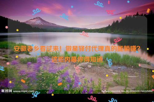 详细阅读:安徽老乡看过来!做星驿付代理真的能躺赚?这些内幕你得知道 安徽老乡看过来!做星驿付代理真的能躺赚?这些内幕你得知道