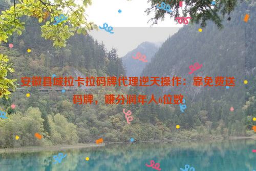 安徽县城拉卡拉码牌代理逆天操作：靠免费送码牌，赚分润年入6位数