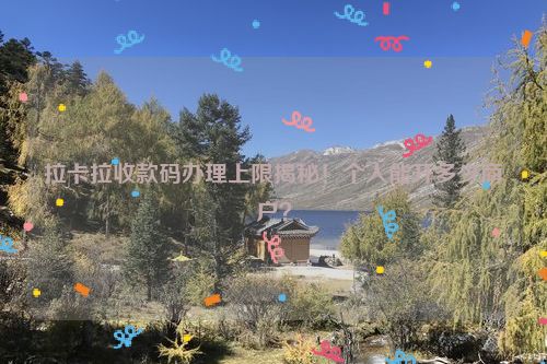 拉卡拉收款码办理上限揭秘！个人能开多少商户？