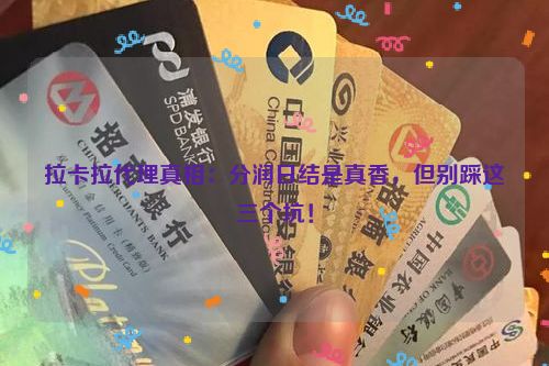 拉卡拉代理真相：分润日结是真香，但别踩这三个坑！