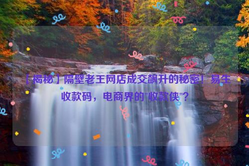 【揭秘】隔壁老王网店成交飙升的秘密！易生收款码，电商界的"收款侠"？