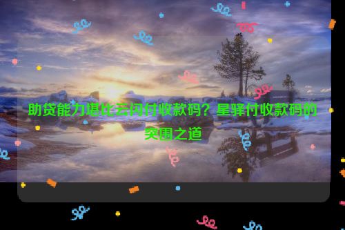 助贷能力堪比云闪付收款码？星驿付收款码的突围之道